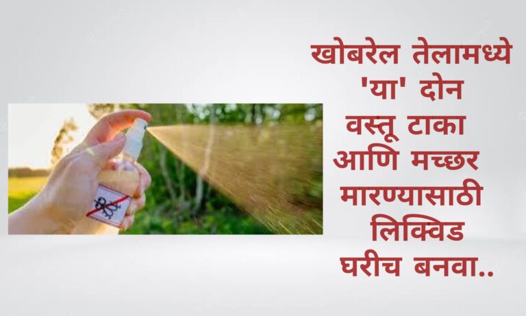 खोबरेल तेलामध्ये ‘या’ दोन वस्तू टाका आणि मच्छर मारण्यासाठी लिक्विड घरीच बनवा..
