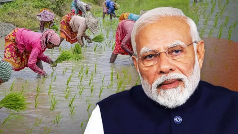 शेतकऱ्यांना मिळालं 35 हजार कोटींच गिफ्ट, PM मोदींनी सुरू केल्या 2 खास योजना