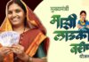 फडणवीस सरकारचा लाडकी बहिण योजनेबाबत आणखी एक मास्टरस्ट्रोक ! महायुती सरकारचा नवा निर्णय पहा.
