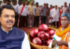 शेतकऱ्यांसाठी आनंदाची बातमी, कांदा खरेदीबाबत CM फडणवीसांची सर्वात मोठी घोषणा, दर जाहीर