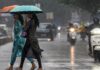 वादळी वाऱ्यासह धो-धो कोसळणार, महाराष्ट्रासह या राज्यांना मुसळधार पावसाचा अलर्ट जारी