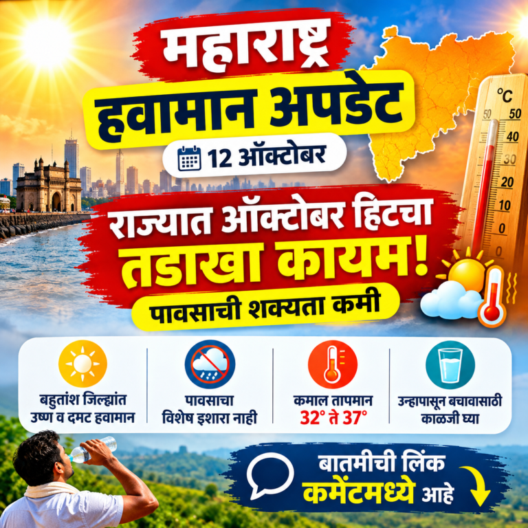 महाराष्ट्र हवामान अपडेट, १२ ऑक्टोबर: राज्यात ऑक्टोबर हिटचा तडाखा कायम; पावसाची शक्यता कमी, जाणून घ्या जिल्हानिहाय अंदाज